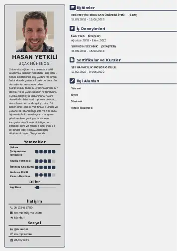 Havacılık Ve Uzay Uçak Mühendisi Cv Örnekleri cv indir